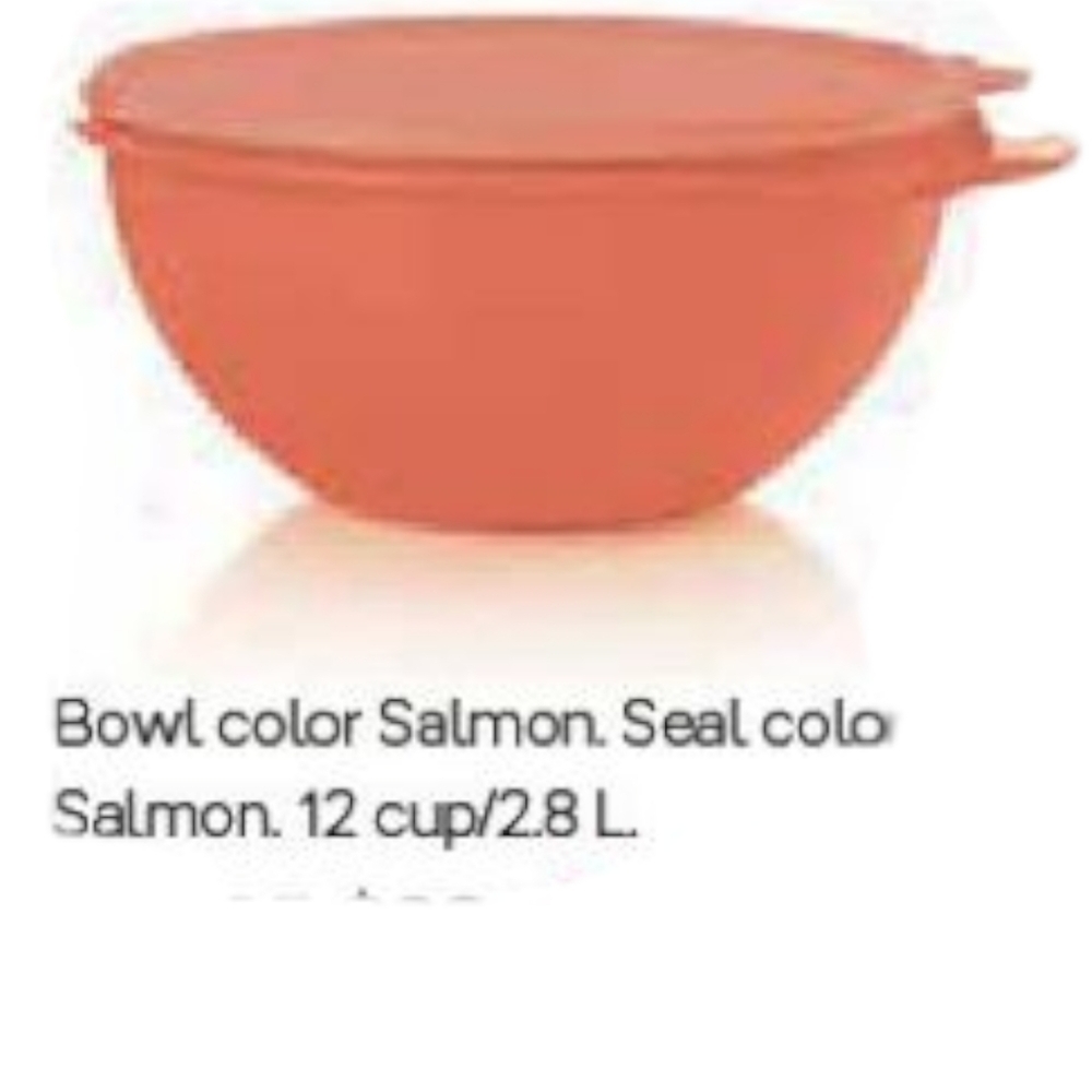 NEW Tupperware Thatsa Jr Bowl | Salmon